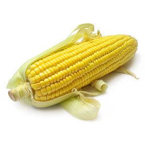 YELLOW CORN    M USA Sale