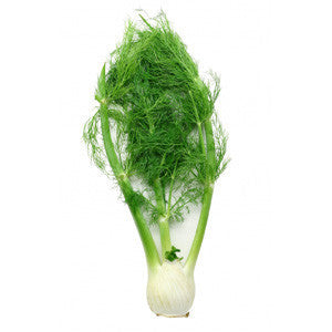 FENNEL (ANISE) FROM MEXICO For Cheap