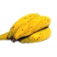 YELLOW PLANTAIN FROM ECUADOR Fashion