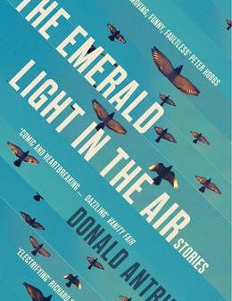 Donald Antrim: The Emerald Light in the Air [2015] paperback For Cheap