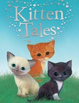 Holly Webb: Holly Webb s Kitten Tales [2014] paperback Fashion